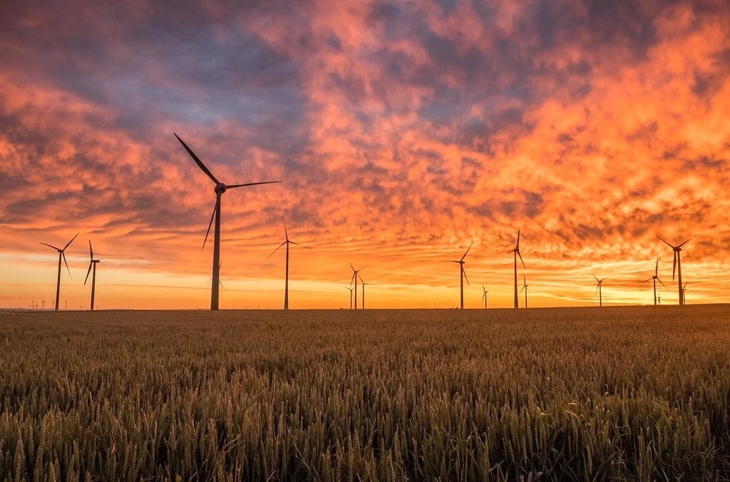 Le rôle des énergies renouvelables dans la transition
