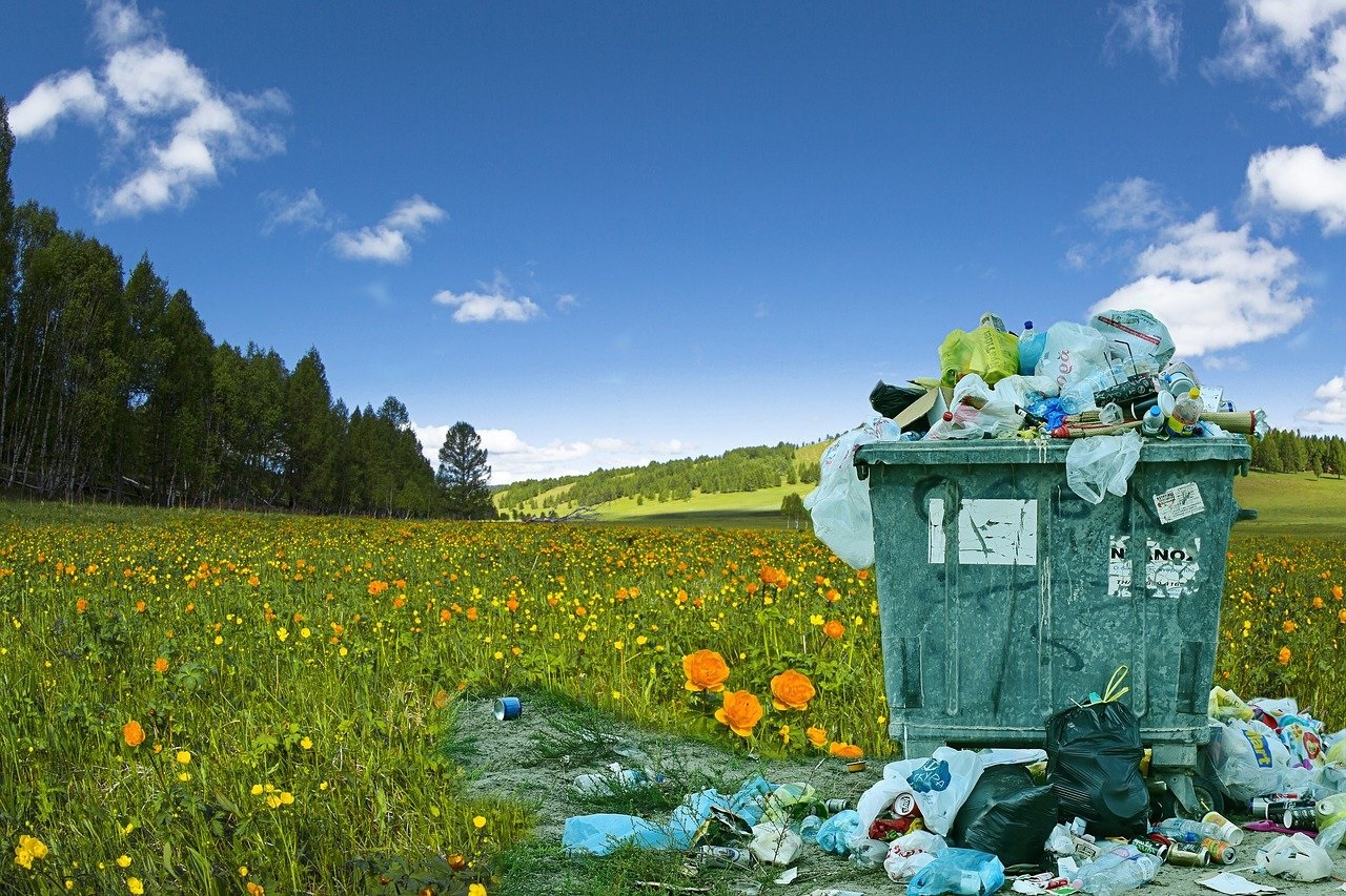 Entreprises : comment mieux gérer les déchets dangereux au quotidien